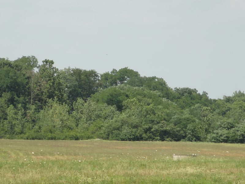 Empty field behind Snyder Brick and Block-looks like an old landfill maybe