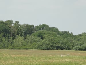 Empty field behind Snyder Brick and Block-looks like an old landfill maybe