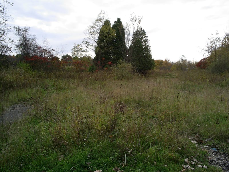 View from East Liverpool Road. Lot is overgrown and empty. Traces of the entrance and exit ramps still visible at the lower left and right of photo.