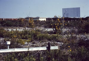 Second screen and projection/concession building as seen from the entrance road