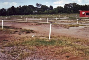 Field of the east side