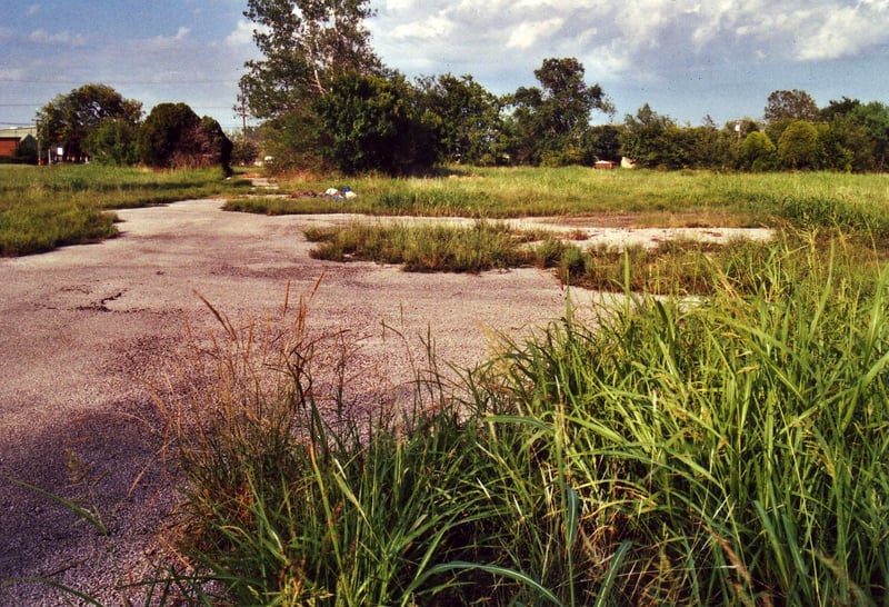Field with remains of asphalt