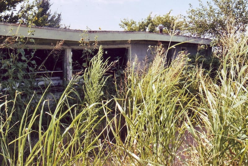 Behind the weeds, the projection booth can be spotted at right