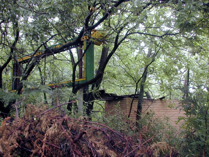Marquee ruins covered by years of forest growth
