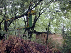 Marquee ruins covered by years of forest growth