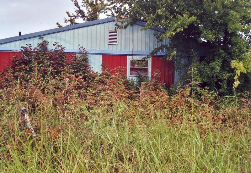 Side view of overgrown projection/concession building