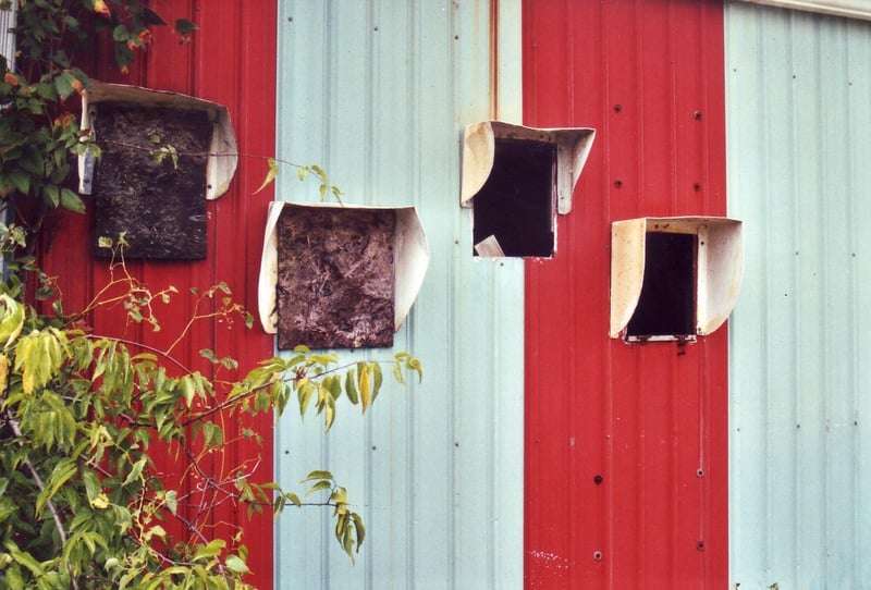 Projection portholes