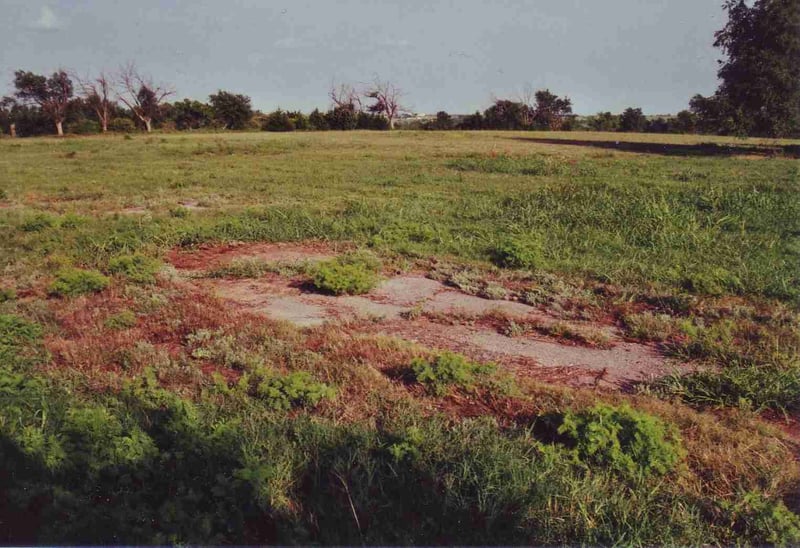 Field