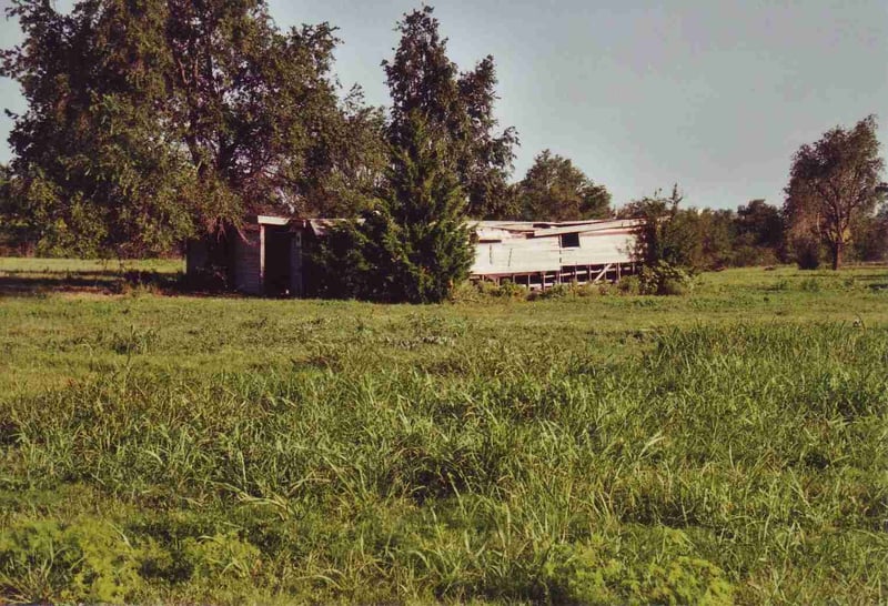 Concession/projection building