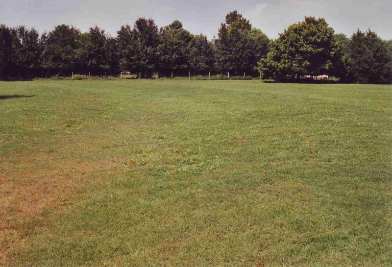 Field with ramps still visible