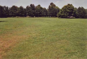 Field with ramps still visible