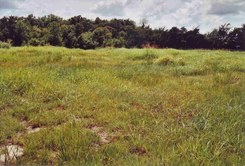 Empty lot behind gas station