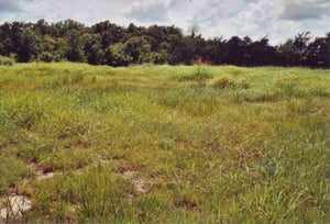 Empty lot behind gas station