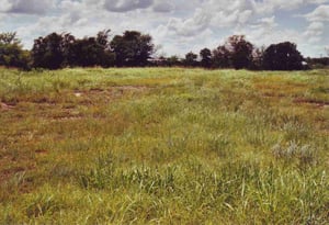 Empty lot