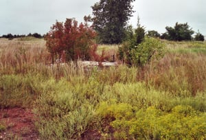 Concrete slab of the projection booth in the grass