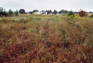 View in the direction of the former screen.Its place has taken the building