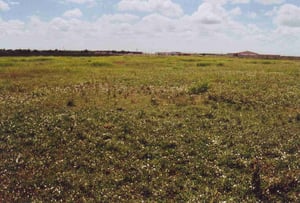 In the background of the empty field, the Lawton-Fort Sill Regional Airport is visible