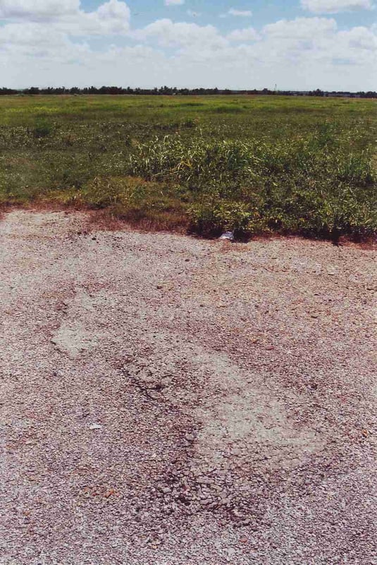 A remaining patch of asphalt near the entrance