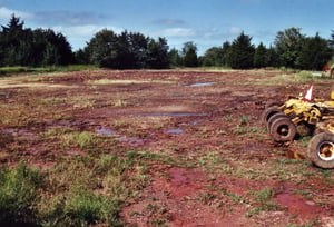 Undeveloped part of the lot