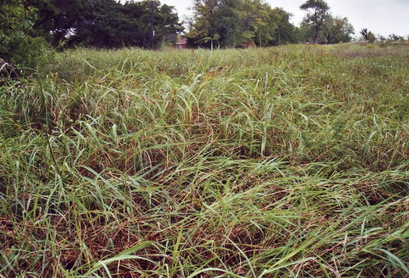 Spot where the screen once stood