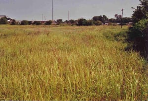 Part of the field. The screen used to stand at the upper right hand corner about where the wooden mast is now