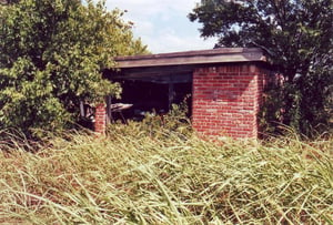 Left large side window of the concession building