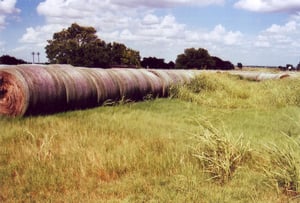 Long rows of hay balls are stored on the lot now. The roof of the concession building can barely be seen just above the rolls at the trees