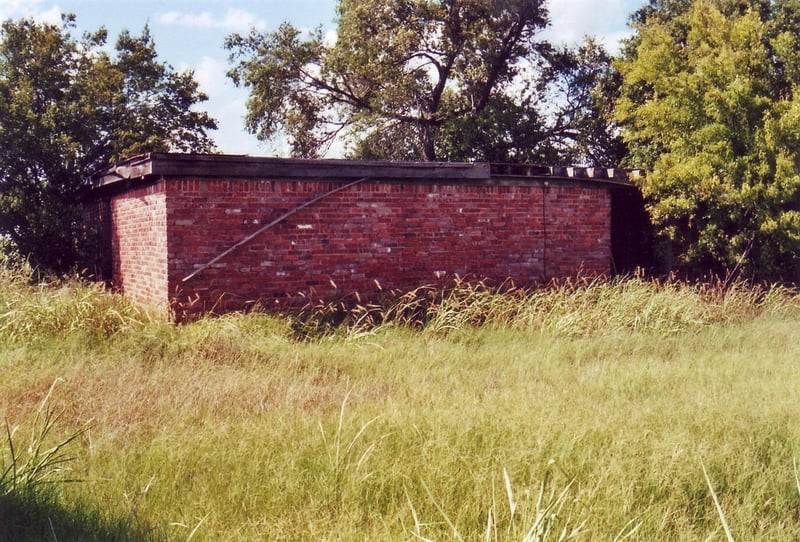 Back side of the brick concession building. The adjacent projection booth is at right hidden by the tree