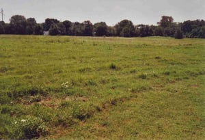 Field. View in the direction where the screen  once stood