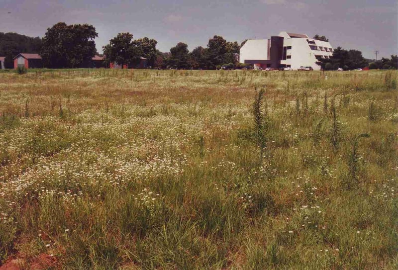 Part of the field where the back rows used to be (foreground)