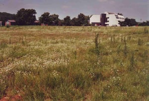Part of the field where the back rows used to be (foreground)