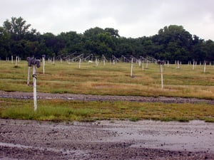 Field with speakers