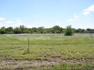 The Field with Speaker Poles and Screen. Screen is laying face down. I was told (By a OK. City citizen) this is to be Demolished. This could be cleaned up and rebuilt by the Right person(s). Pretty much all intact. Even the Speakers are still there. They