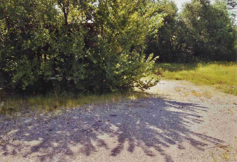 Driveway and ticket booth hidden behind trees