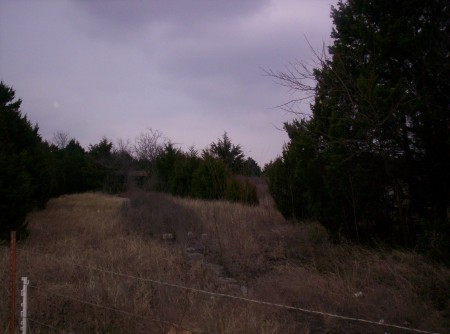 Entrance..ticket both can bee seen thru trees