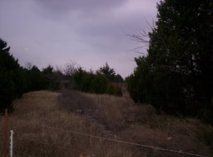 Entrance..ticket both can bee seen thru trees