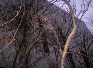 front of screen upclose with holes in it