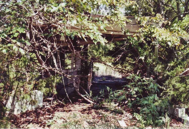 Overgrown ticket booth