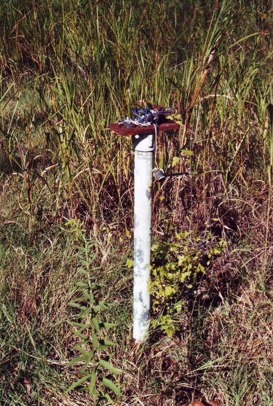 Speaker pole