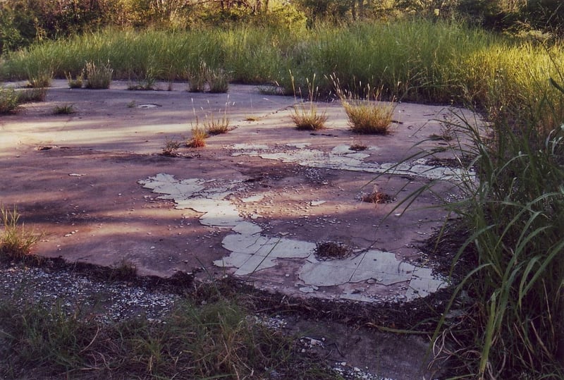 Concrete platform found on the lot. It appears to be too small for the snack bar, so it must have been built for the projection booth