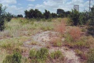 View of the lot from the entrance