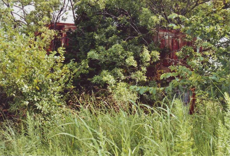The overgrown marquee