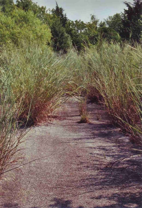 Picture of the entrance road how it looks today