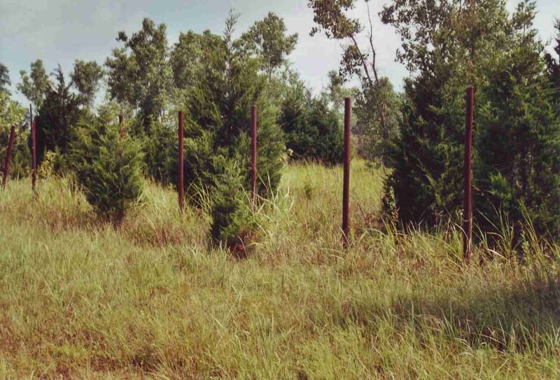 Metal poles left of the perimeter fence facing Hwy. 3E