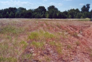 Empty field. There's an oil pump on the lot now