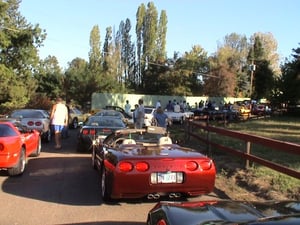 Rose City Corvette at the movies