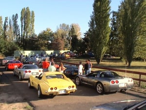 Rose City Corvette at the movies