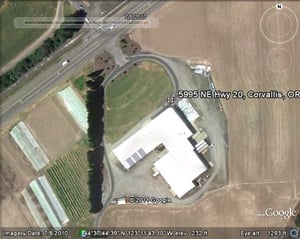 Recent Google photo of the former site of the Mid Way Drive-In in Corvallis, Oregon.  Note the screening trees remain and the berm lines can be made out.