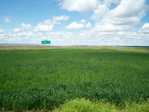 I-84 on the left, Exit 213 Westbound only. The frontage road is on the right.