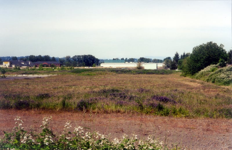 looking west from screen 4 to screen 1